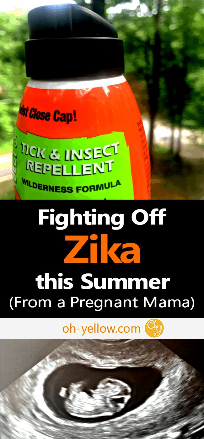 Protect yourself and baby from the Zika virus during the spring, summer and fall months. Pregnant moms need the best protection against mosquitoes, so you need the best insect repellent and tips. Here is an awesome bug spray and some great advice on how to keep your baby safe...