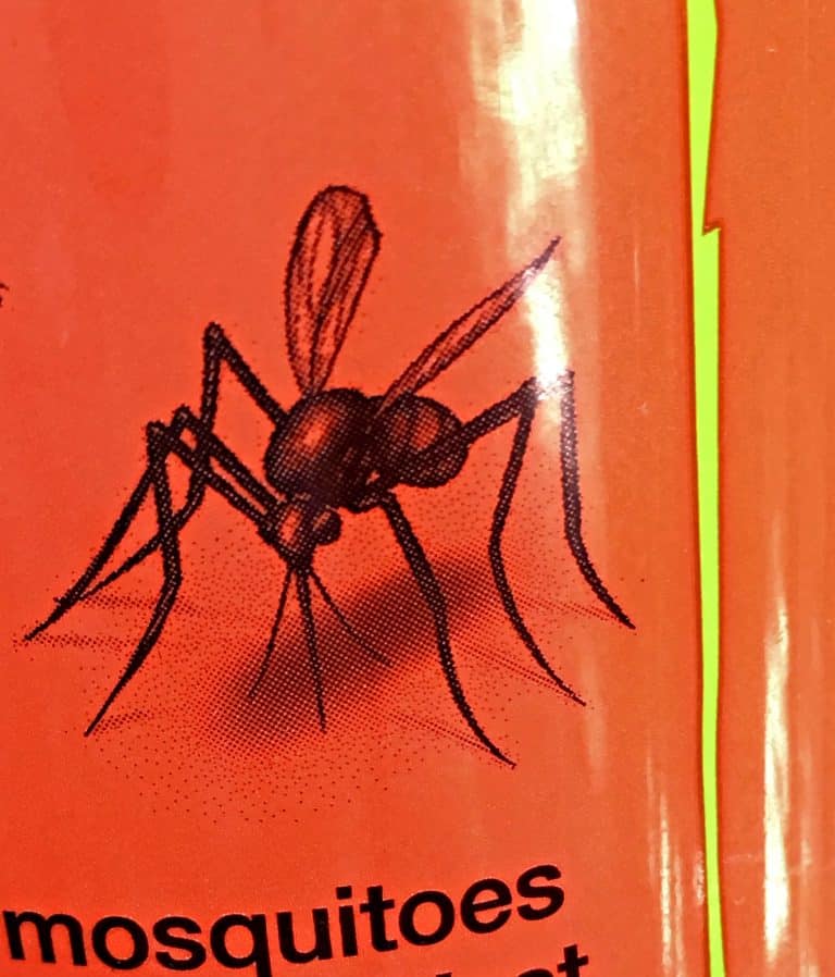 Protect yourself and baby from the Zika virus during the spring, summer and fall months. Pregnant moms need the best protection against mosquitoes, so you need the best insect repellent and tips. Here is an awesome bug spray and some great advice on how to keep your baby safe...